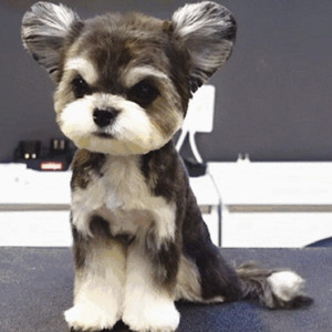 人妻丰满熟妇av滝川恵理
